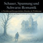Schauer, Spannung und Schwarze Romantik: 10 Novellen und Kurzgeschichten (MP3-Download)