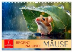 Regen? Na und! Mäuse (Wandkalender 2026 DIN A3 quer), CALVENDO Monatskalender