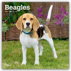 Cover Beagles 2026 - 16-Monatskalender