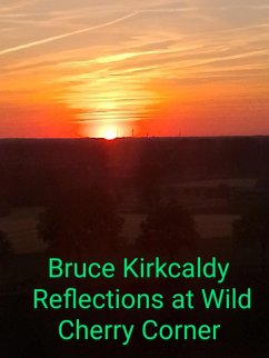Cover Contemplations at Wild Cherry Corner (eBook, ePUB)