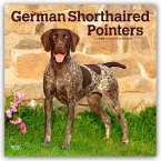German Shorthaired Pointers - Deutsch Kurzhaar 2026 - 16-Monatskalender
