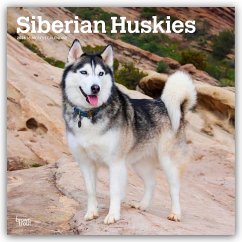 Cover Siberian Huskies - Siberian Husky 2026 - 16-Monatskalender