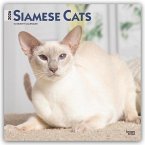 Siamese Cats - Siamesische Katzen - Siamkatzen 2026 - 16-Monatskalender