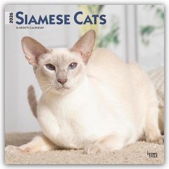 Cover Siamese Cats - Siamesische Katzen - Siamkatzen 2026 - 16-Monatskalender