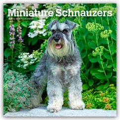 Cover Miniature Schnauzers - Zwergschnauzer 2026 - 16-Monatskalender