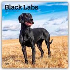 Black Labrador Retriever - Schwarze Labrador Retriever 2026 - 16-Monatskalender Black Labrador Retriever - Schwarze Labrador Retriever 2026 - 16-Monatskalender