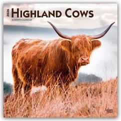 Highland Cows - Hochlandrinder 2026 - 16-Monatskalender Cover Highland Cows - Hochlandrinder 2026 - 16-Monatskalender