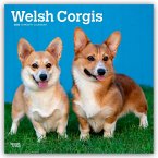 Welsh Corgis - Welsh Corgi 2026 - 16-Monatskalender Welsh Corgis - Welsh Corgi 2026 - 16-Monatskalender