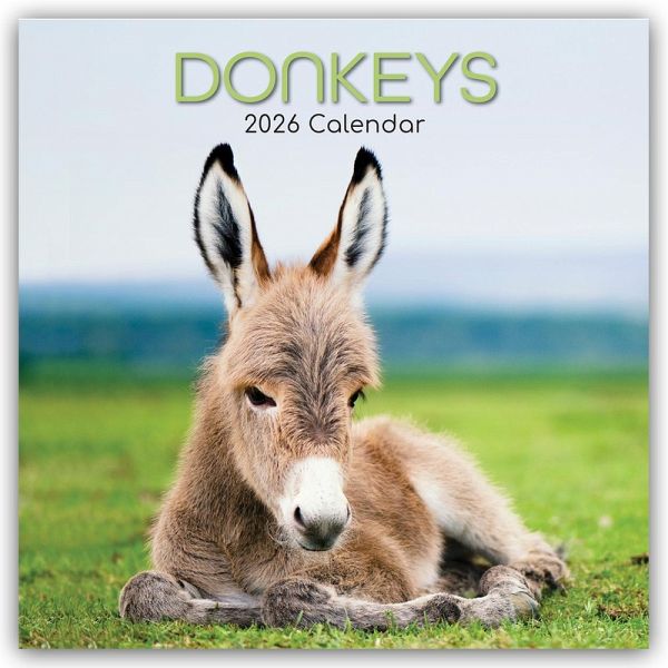 Donkeys - Esel 2026 - 16-Monatskalender Donkeys - Esel 2026 - 16-Monatskalender
