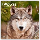 Wolves - Wölfe 2026 - 16-Monatskalender Wolves - Wölfe 2026 - 16-Monatskalender