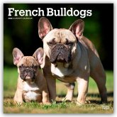 French Bulldogs - Französische Bulldogge 2026 - 16-Monatskalender French Bulldogs - Französische Bulldogge 2026 - 16-Monatskalender