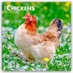 Chickens - Hühner 2026 - 16-Monatskalender Chickens - Hühner 2026 - 16-Monatskalender