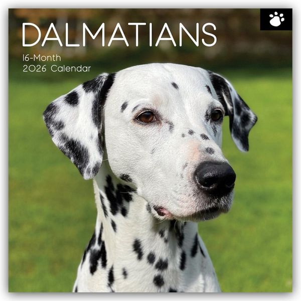 Dalmatians - Dalmatiner 2026 - 16-Monatskalender Dalmatians - Dalmatiner 2026 - 16-Monatskalender