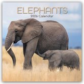 Elephants - Elefanten 2026 - 16-Monatskalender Elephants - Elefanten 2026 - 16-Monatskalender