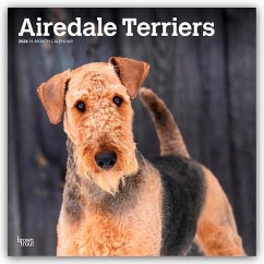 Cover Airedale Terrier 2026 - 16-Monatskalender