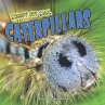 Creepy but Cool Caterpillars... - Bild 1