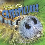Creepy but Cool Caterpillars (MP3-Download)