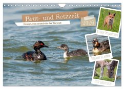 Brut- und Setzzeit. Neues Leben entsteht. (Wandkalender 2026 DIN A4 quer), CALVENDO Monatskalender