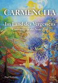 CARMENCITA - Im Land des Vergessens - Eine Sternenfrau und eine Erdenfrau erzählen ihre gemeinsame Geschichte. CARMENCITA - Im Land des Vergessens - Eine Sternenfrau und eine Erdenfrau erzählen ihre gemeinsame Geschichte.