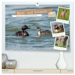 Brut- und Setzzeit. Neues Leben entsteht. (hochwertiger Premium Wandkalender 2026 DIN A2 quer), Kunstdruck in Hochglanz