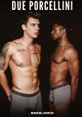 Due Porcellini