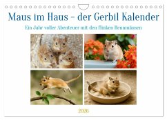 Cover Maus im Haus - der Gerbil Kalender (Wandkalender 2026 DIN A4 quer), CALVENDO Monatskalender