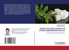 Cover TISSUE CULTURE STUDIES IN STEVIA REBAUDIANA Bertoni