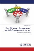 The Different Economy of the Self-Employment Sector