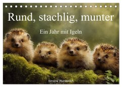 Rund, stachlig, munter - Ein Jahr mit Igeln (Tischkalender 2026 DIN A5 quer), CALVENDO Monatskalender Rund, stachlig, munter - Ein Jahr mit Igeln (Tischkalender 2026 DIN A5 quer), CALVENDO Monatskalender