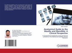 Cover Anatomical Guide to the Maxilla and Mandible: A Clinical Perspective