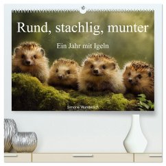 Rund, stachlig, munter - Ein Jahr mit Igeln (hochwertiger Premium Wandkalender 2026 DIN A2 quer), Kunstdruck in Hochglanz Rund, stachlig, munter - Ein Jahr mit Igeln (hochwertiger Premium Wandkalender 2026 DIN A2 quer), Kunstdruck in Hochglanz