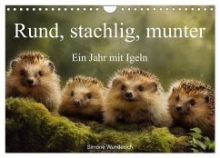 Rund, stachlig, munter - Ein Jahr mit Igeln (Wandkalender 2026 DIN A4 quer), CALVENDO Monatskalender Rund, stachlig, munter - Ein Jahr mit Igeln (Wandkalender 2026 DIN A4 quer), CALVENDO Monatskalender