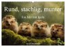 Rund, stachlig, munter - Ein Jahr mit... - Bild 1