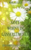 Gott wohnt im Gänseblümchen (eBook, ePUB) Gott wohnt im Gänseblümchen (eBook, ePUB)