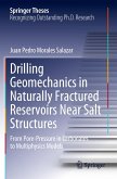 Drilling Geomechanics in Naturally Fractured Reservoirs Near Salt Structures