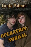 Operation:Normal (eBook, ePUB)