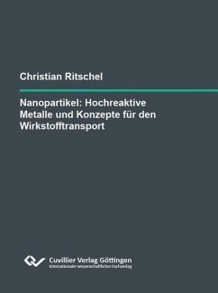 Nanopartikel: Hochreaktive Metalle und Konzepte für den Wirkstofftransport (eBook, PDF)