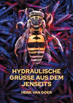 Hydraulische Grüße aus dem Jenseits (eBook, ePUB)