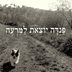 פנדה יוצאת למרעה (MP3-Download) - Shalev, Meir