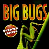 Big Bugs (MP3-Download) Big Bugs (MP3-Download)