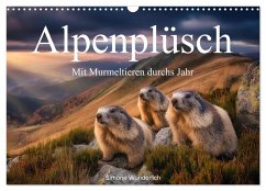 Alpenplüsch - Mit Murmeltieren durchs Jahr (Wandkalender 2026 DIN A3 quer), CALVENDO Monatskalender