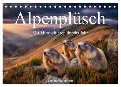 Alpenplüsch - Mit Murmeltieren durchs Jahr (Tischkalender 2026 DIN A5 quer), CALVENDO Monatskalender