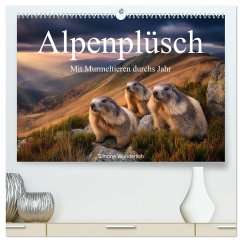 Alpenplüsch - Mit Murmeltieren durchs Jahr (hochwertiger Premium Wandkalender 2026 DIN A2 quer), Kunstdruck in Hochglanz