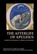 The Afterlife of Apuleius (eBook, ePUB) - Bild 1