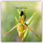 Orchids - Orchideen 2026 - 16-Monatskalender Orchids - Orchideen 2026 - 16-Monatskalender