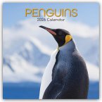 Penguins - Pinguine 2026 - 16-Monatskalender Penguins - Pinguine 2026 - 16-Monatskalender