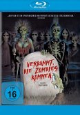 Verdammt, die Zombies kommen Verdammt, die Zombies kommen