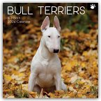 Bull Terrier 2026 - 16-Monatskalender Bull Terrier 2026 - 16-Monatskalender