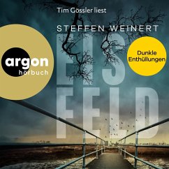 Cover Eisfeld - Dunkle Enthüllungen (MP3-Download)
