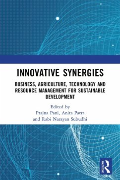 Innovative Synergies (eBook, PDF)